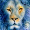 Lion Etoilé