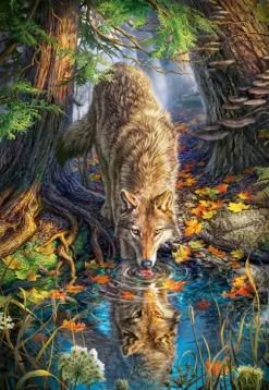 Loup dans la Forêt