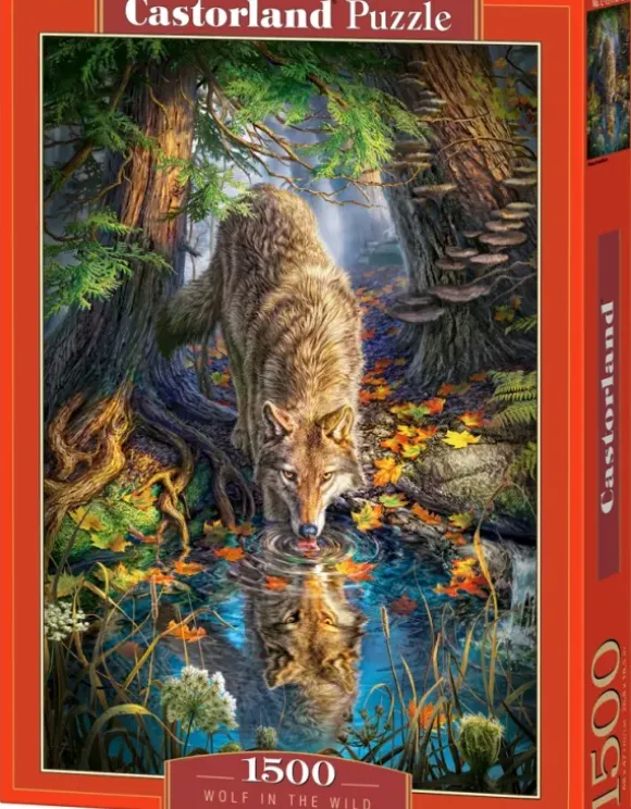 Loup dans la Forêt