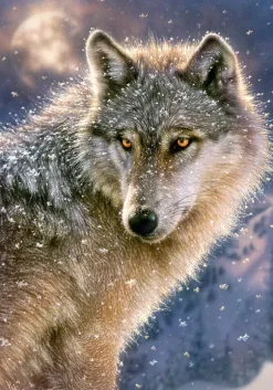 Loup Solitaire
