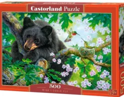 L'Ours et les Colibris