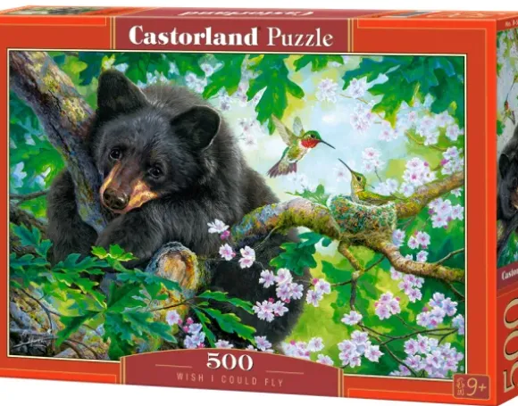 L'Ours et les Colibris