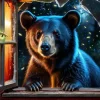 L'Ours Et Les Lucioles