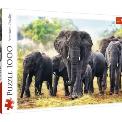 Éléphants africains