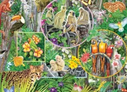 Magie de la Forêt Tropicale