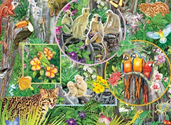 Magie de la Forêt Tropicale