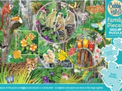 Magie de la Forêt Tropicale