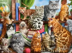 Maison des Chats