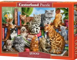 Maison des Chats