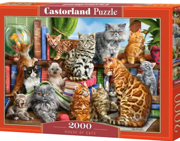 Maison des Chats