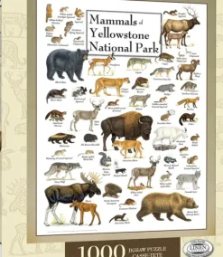 Mammals of Yellowstone National Park