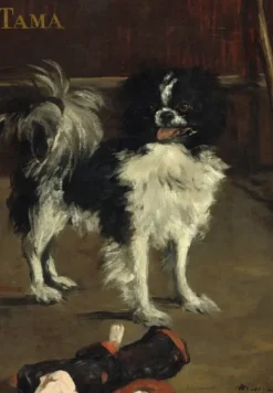 Manet Édouard - Edouard Manet : Tama : Le Chien Japonais, 1875
