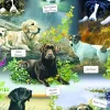 Man's Best Friend