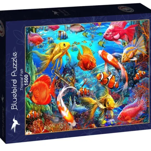 Marchetti Ciro - Tropical Fish
