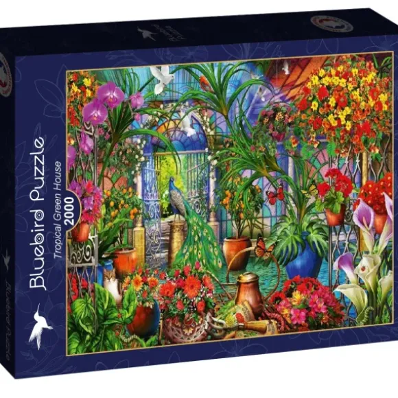 Marchetti Ciro - Tropical Green House