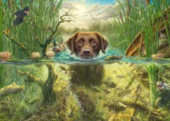Mark Fredrickson - Labrador Chocolat à la Baignade