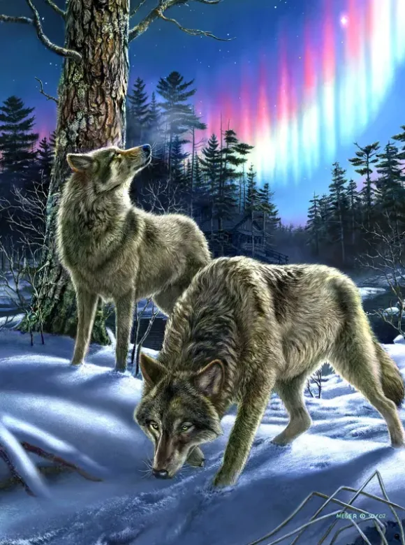 Meger James - Loups sous l'Aurore