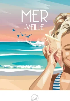 MER-Veille