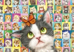 Mimique de Chat
