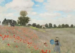 Monet Claude - Claude Monet - Poppy Field, 1873