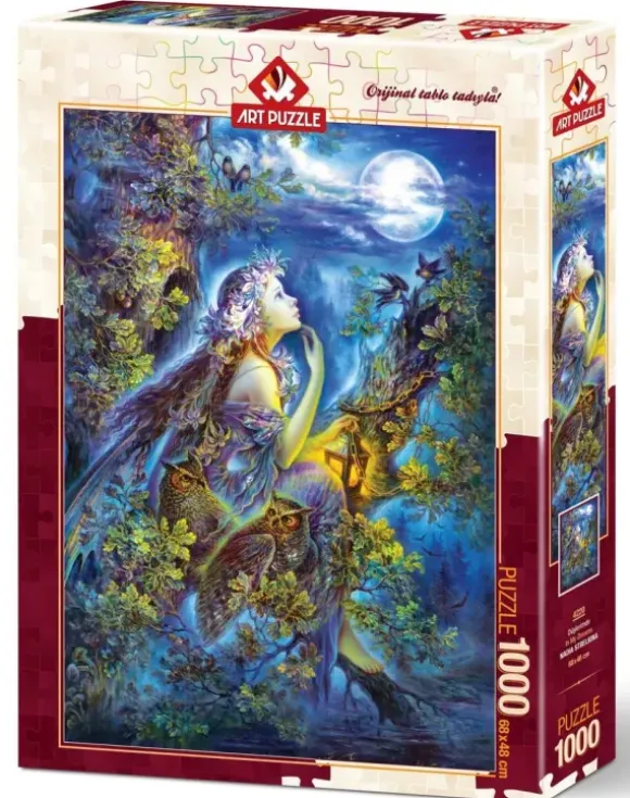 Mon Rêve