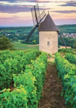 Moulin Sorine - Vignoble de Santenay - Bourgogne