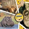 National Geo - Wildlife Adventure-Supercolor Puzzle