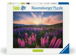 Nature Edition - Lupins