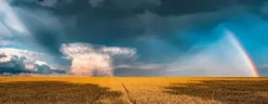 Nature Edition - Météo Arc-en-ciel Mystique