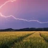 Nature Edition - Orage d'été