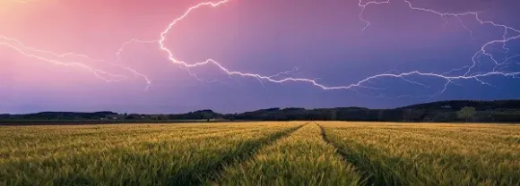 Nature Edition - Orage d'été
