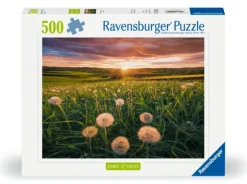 Nature Edition - Pissenlits au Coucher du Soleil