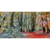 Neige En Automne