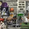 News Hounds