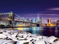 New-York en Hiver