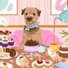 Nibbles with Nora