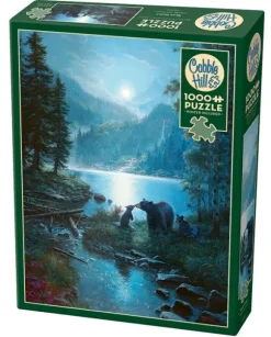 Nuit des Ours