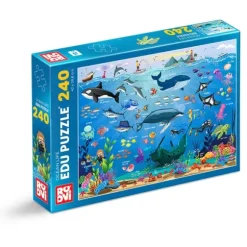 Ocean Animals