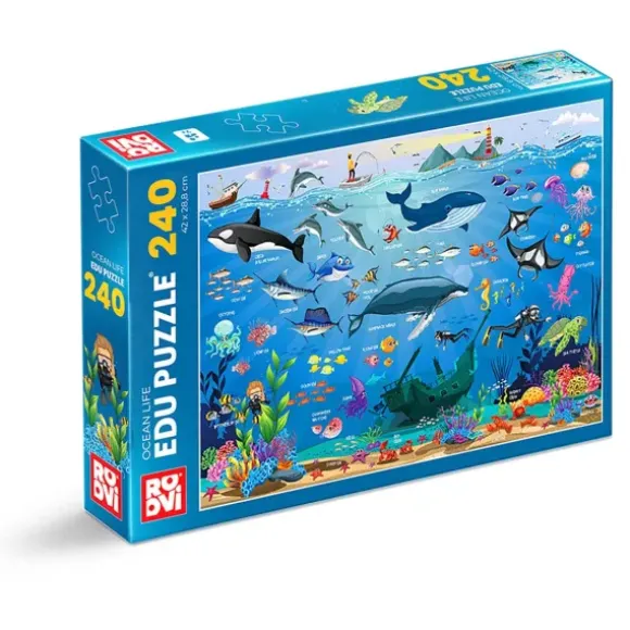 Ocean Animals
