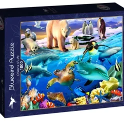 Oceans of Life
