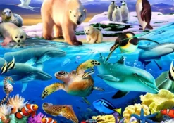 Oceans of Life