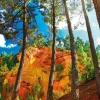 Ocres de Roussillon