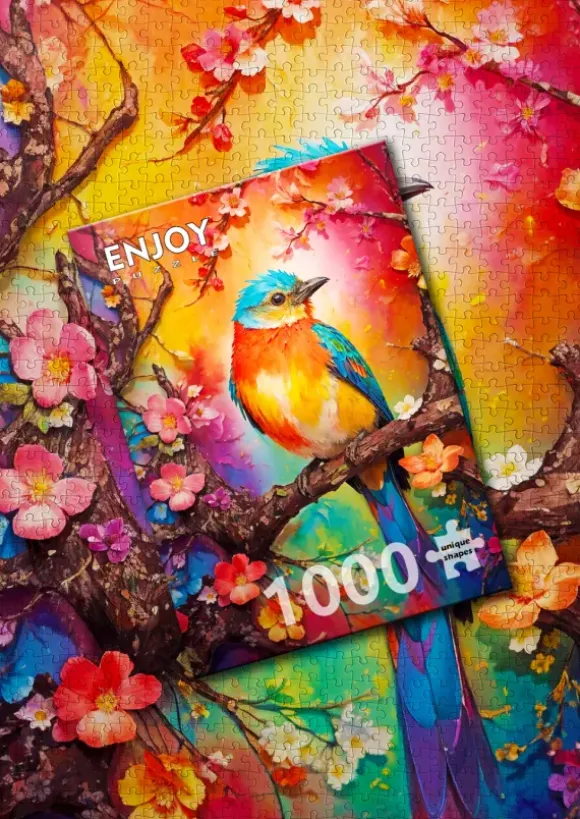 Oiseau Coloré