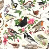 Oiseaux Dans Mon Jardin
