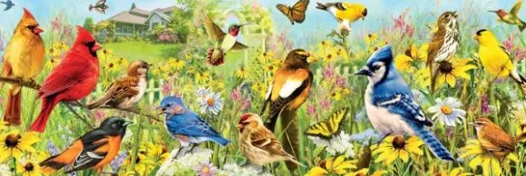 Oiseaux de Jardin