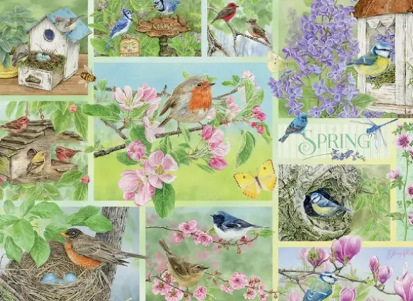 Oiseaux de Jardin au Printemps