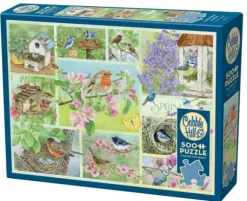 Oiseaux de Jardin au Printemps