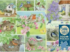 Oiseaux de Jardin au Printemps