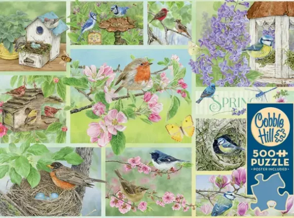 Oiseaux de Jardin au Printemps