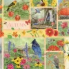 Oiseaux de Jardin en Automne